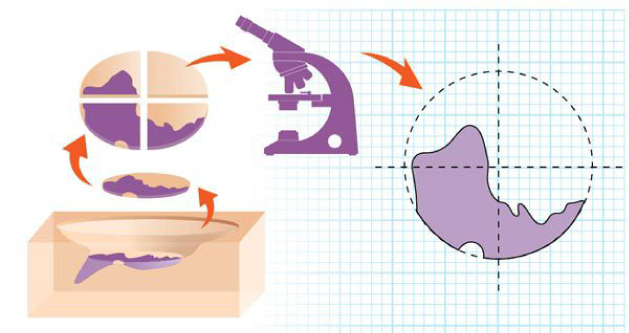 dermatólogo Oncólogo privado